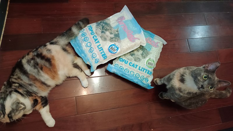 女人知己試用大隊,口碑行銷,部落客行銷,PurreLand 倍淨豆腐貓砂,好市多購買,COSTCO購買,豆腐貓砂,PurreLand倍淨,低粉塵,易清理,可沖馬桶,提供絕佳的除臭與凝結力,豆腐貓砂評價,貓砂評價,使用心得,貓砂分享,好用,原味,綠茶,豆腐砂,水量需完全覆蓋貓砂,水量需貓砂的2~3倍以上,豆腐砂評價,高CP值,划算